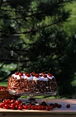 Black Forest cherry gateau on cake stand, outdoors