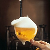 Tapping a Beer into a Stem Glass