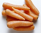 Many Carrots