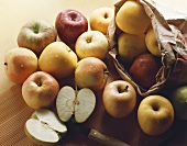 Verschiedene Apfelsorten aus der Tüte
