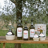 Verschiedene Olivenöle aus der Toskana