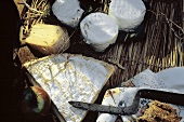 Camembert Cheese and Goat Cheese