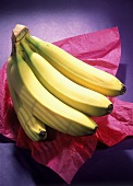 Bunch of Bananas on Pink Tissue Paper