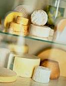 Various kinds of cheese on sheets of glass