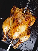 Grilled Chicken on a Skewer