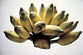 Bunch of Small Bananas