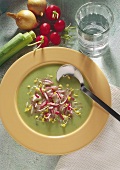 Radieschen-Lauch-Suppe mit Sprossen