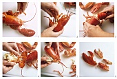 Preparing a lobster