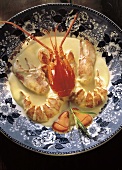 Lobster Meat in a Cream Sauce from Overhead