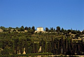 Reportage über Weinlese bei Masi, Valpolicella, Norditalien