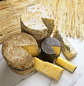 Still life with English cheeses