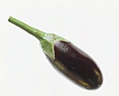 A Single Eggplant