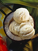 Coconut milk sorbet in coconut half, with green leaves