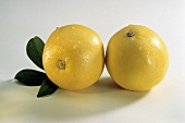 Two Whole Grapefruits with Leaves