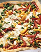 Vegetable pizza (yellow pepper, red pepper, spring onions)