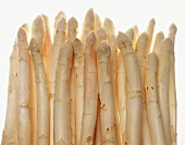 Still Life of White Asparagus