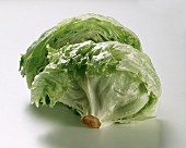 A Head of Iceberg Lettuce Cut in Half