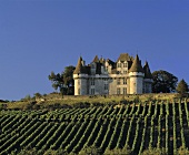 Überm Weinberg thront Château Monbazillac,Bergerac,Frankreich