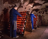 Arbeit an Rüttelregalen im Keller von Perrier-Jouet,Champagne