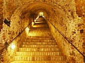 Stairs in an underground wine cellar in Lower Austria