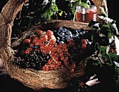 Large Basket Full of Mixed Berries