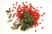 Cranberries with Leaves