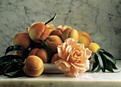 Pfirsiche auf Teller mit Blättern und eine Rose