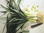 Several Leeks with a Knife