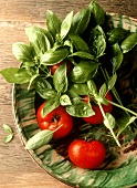 Tomatoes and Basil in a Bowl