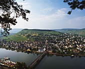 Blick auf den Königberg oberhalb Traben-Trarbach an der Mosel