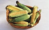 A Basket Filled with Corn
