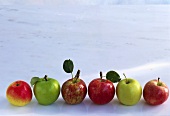 Various varieties of apples; Golden delicious, Granny Smith