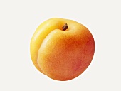 An apricot