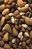 Almonds; Blanched Almonds and Almonds in Shell