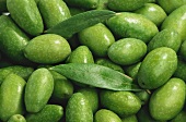 Green Olives