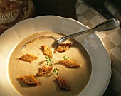 Bread soup with croutons