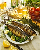 Two grilled mackerel on watercress