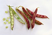 French Haricot Beans