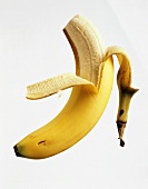 Banane mit teilweise abgezogener Schale