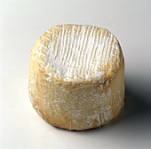 A round goat’s cheese against a white background