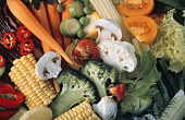 Raw vegetable still life: broccoli, tomato, carrots, mushrooms