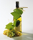 Flasche australischer Weißwein (Chardonnay) neben Weintraube