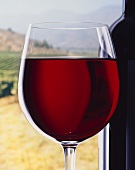 Ein gefülltes Rotweinglas neben Flasche vor Weinberg