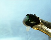 Froth shoots out of an opened sparkling wine bottle