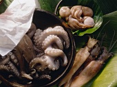 Squid with Cuttlefish and Octopus