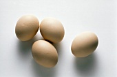Four Brown Eggs
