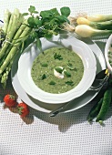 Grüne Spargelsuppe