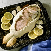 Gilthead bream in salt crust on baking tray