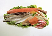 Rohe Fischfilets von verschiedenen Fischen auf Salatblatt