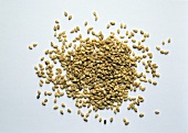 Sesame Seeds